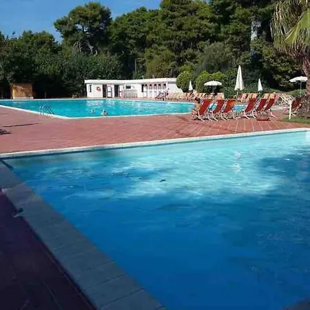 Olivia Sul Gargano Tra Mare E *