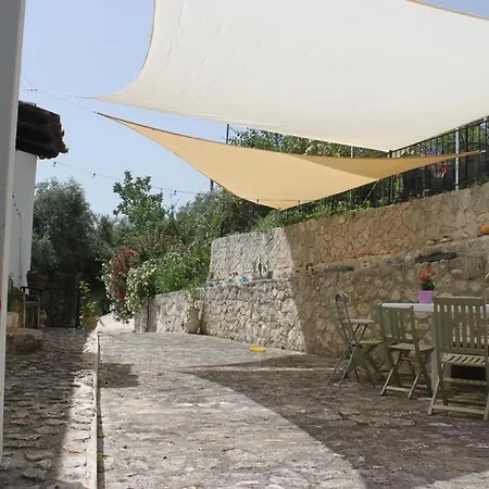 Villa Olivia Sul Gargano Tra Mare E